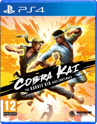 Cobra Kai: The Karate Saga Continues PS4